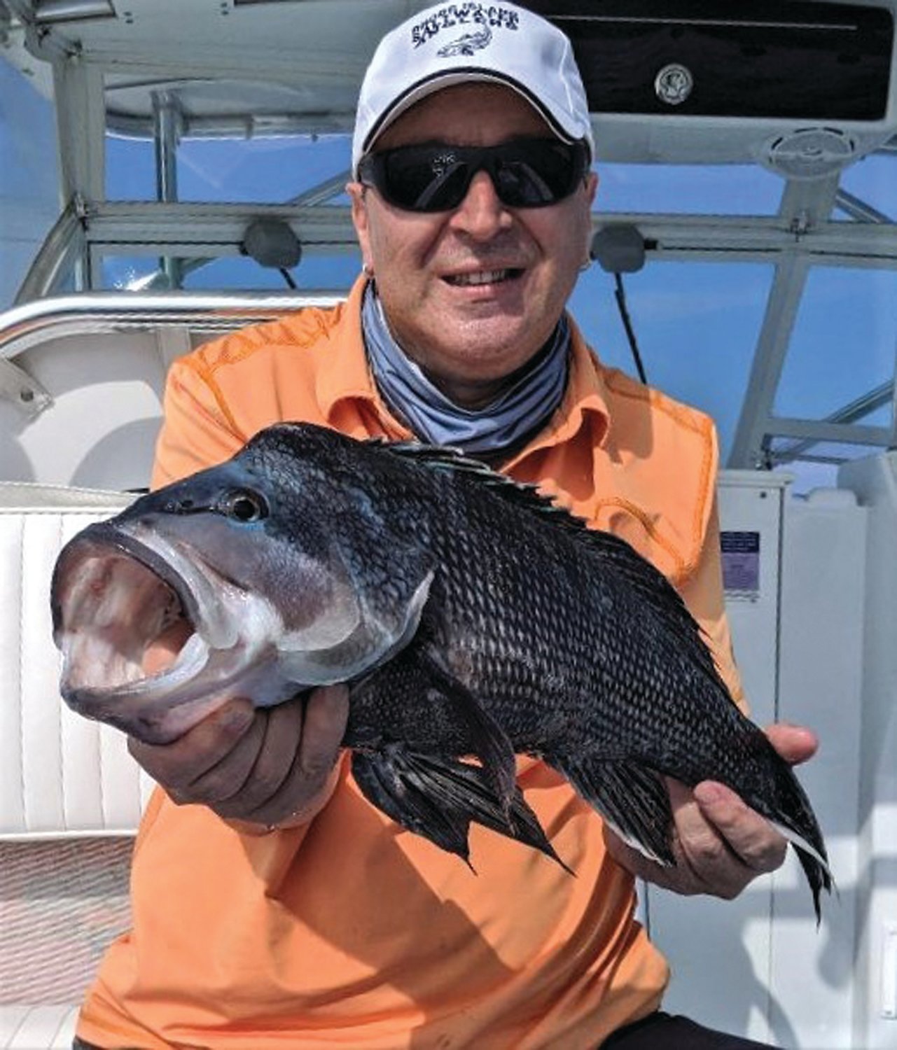 BLACK SEA BASS: Black sea bass are fun to catch and eat, minimum size will likely be 16 1/2” this year. (Submitted photo)